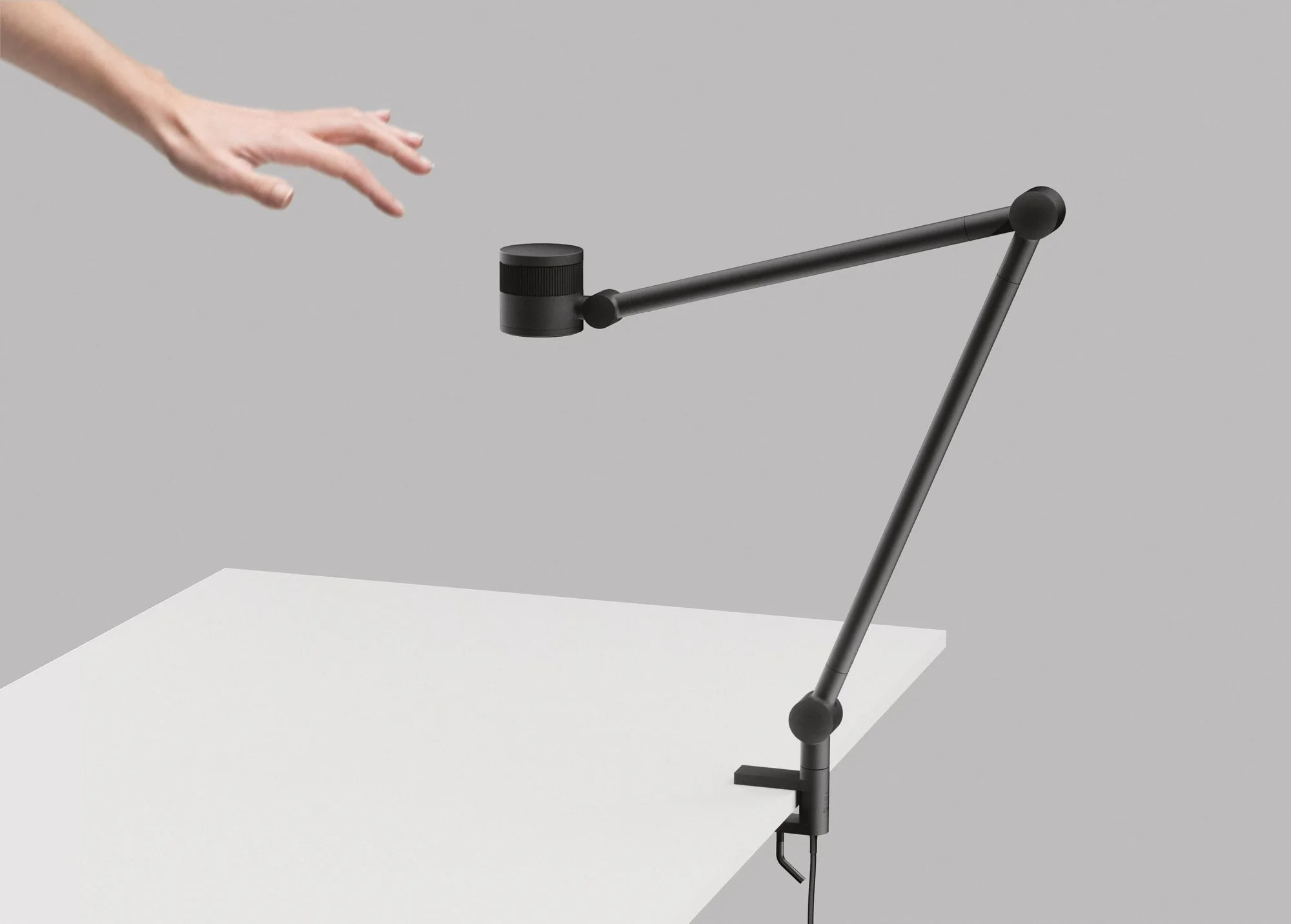 FOCAL — interaction study, render
